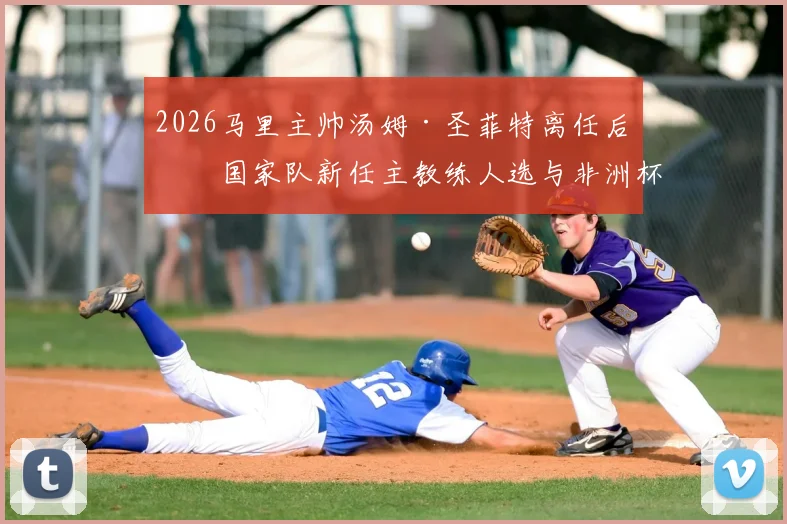 2026马里主帅汤姆·圣菲特离任后，国家队新任主教练人选与非洲杯八强阵容分析展望