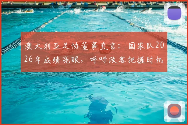 澳大利亚足协董事直言:国家队2026年成绩亮眼,呼吁政客把握时机增加足球投资